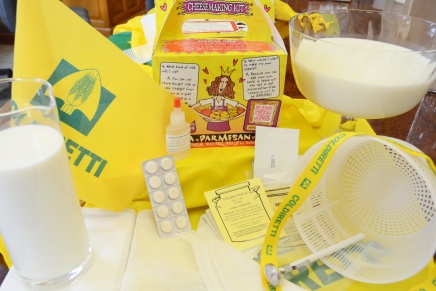 Alert: on sale a kit for counterfeiting Italian DOP cheeses