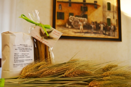 Molino Grassi rediscovers ancient wheats