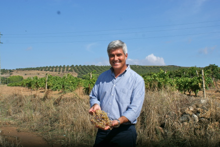 Qualitative revival of Sardinian wine growing