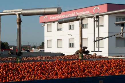 Pomì and Syngenta Italia: synergies for a quality and sustainable tomato