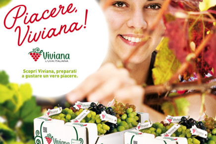 Viviana, a new brand for Italian table grapes