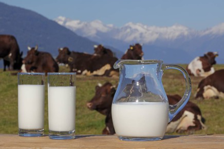 Italian dairy system: a ‘battle’ concerning powdered milk begins