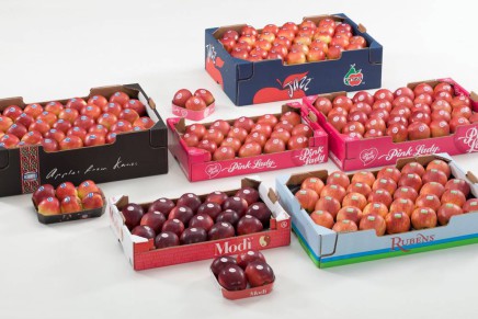 Participation of Vog in Asia Fruit Logistica