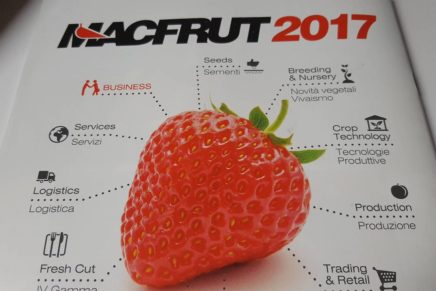 Macfrut: all the news about the 2017 edition