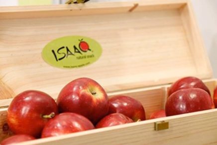 Melinda signs a deal with Kiku for the ISAAQ apple