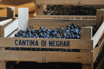 The international Co-op of Italian wine